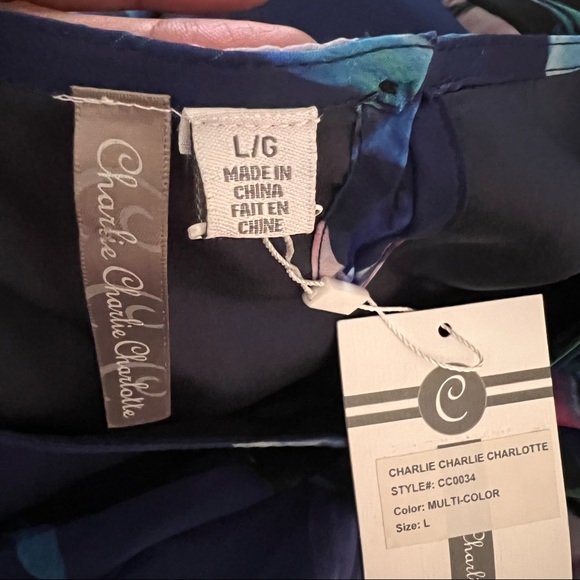 Charlie Charlie Charlotte Blue Multicolor Floral Print Cottagecore dress size L - Picture 5 of 12